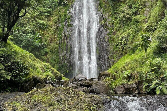 Materuni Waterfall and Coffee Plantation Half Day Tour - The real appeal: a half-day that actually feels worth it