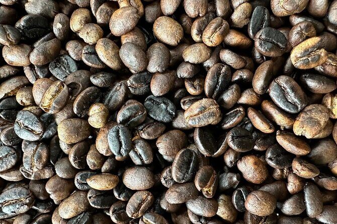 Materuni Waterfall and Coffee Plantation Half Day Tour - What to bring and how to get the most from the day