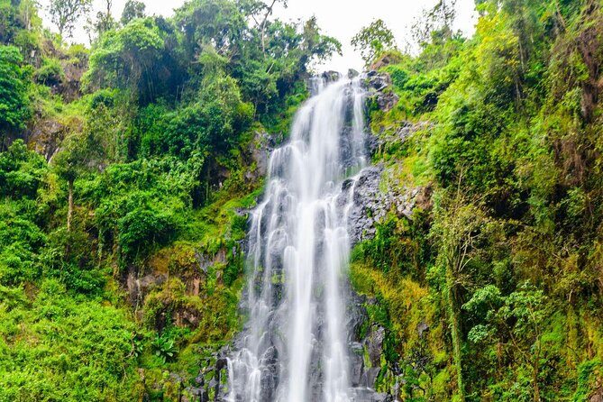 Materuni Waterfall, Coffee Tour and Picnic Hot Lunch - Key things I’d remember from this day