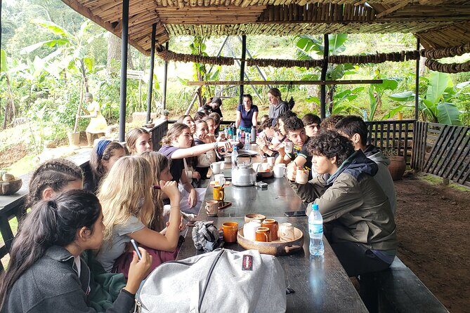 Materuni Waterfall, Coffee Tour and Picnic Hot Lunch - Coffee tour: from cultivation to grinding songs