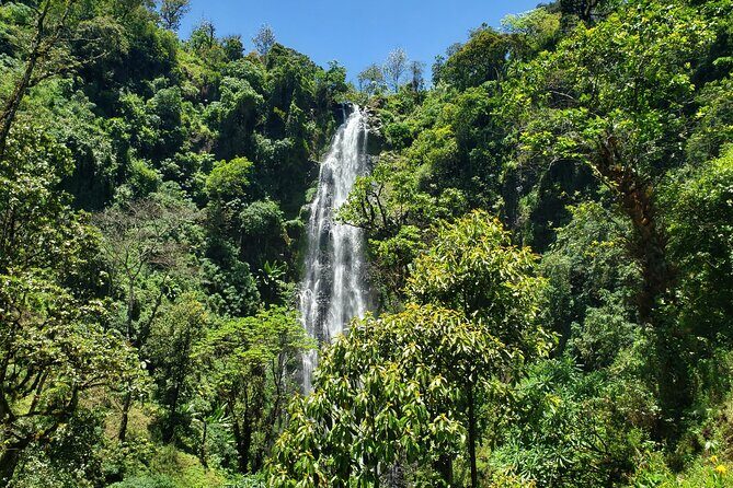 Materuni Waterfall, Coffee Tour and Picnic Hot Lunch - The walk from Moshi: 40 minutes each way and the Mud Factor