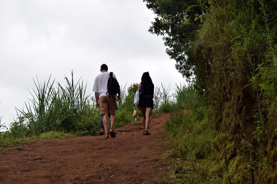 Materuni Waterfalls, Chemka Hot Springs, &/Or Coffee Tour - Why Materuni Falls, Coffee, and Chemka Work So Well Together