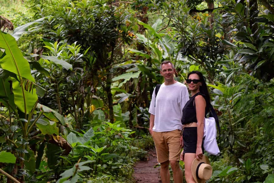 Materuni Waterfalls, Chemka Hot Springs, &/Or Coffee Tour - Morning Pickup from Moshi or Arusha: What the Timing Feels Like