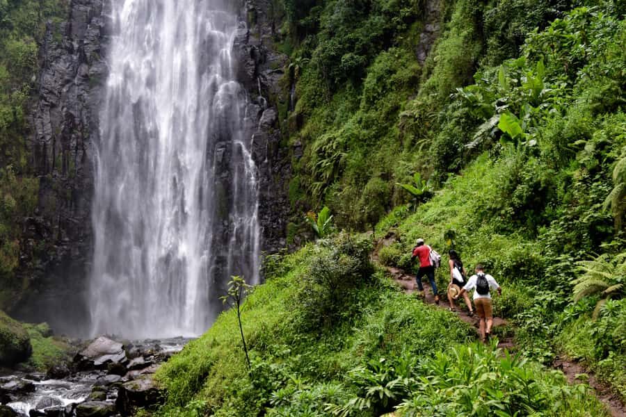 Materuni Waterfalls, Chemka Hot Springs, &/Or Coffee Tour - Coffee Tour at Materuni Plantation: The Fun Part Is You Make the Coffee