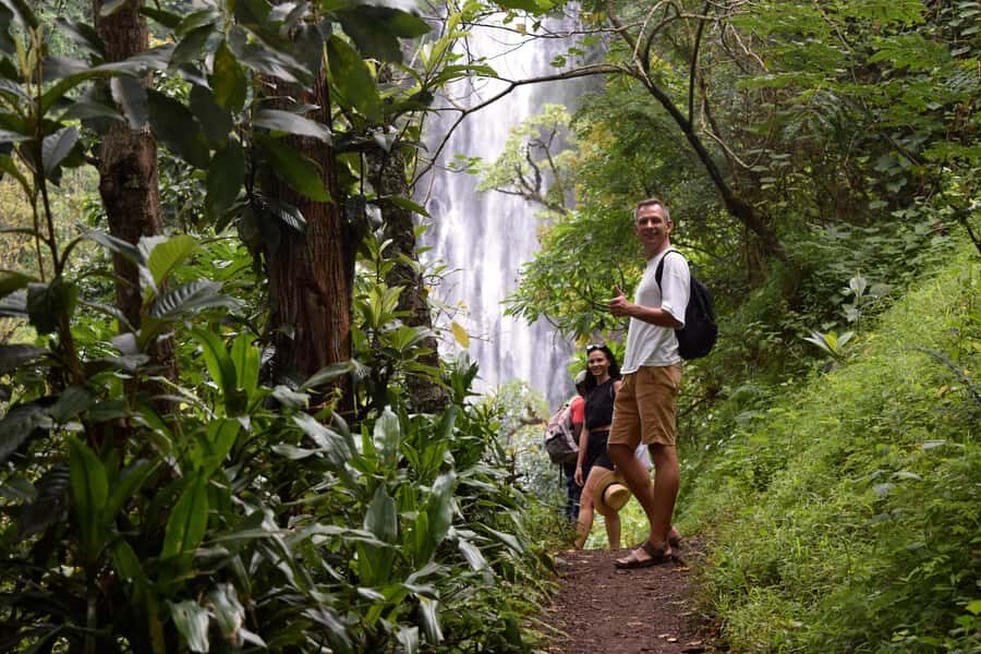 Materuni Waterfalls, Chemka Hot Springs, &/Or Coffee Tour - Hidden Waterfall Time: The Photo Stop That Feels Like a Bonus