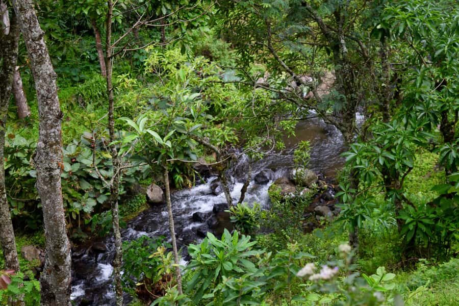 Materuni Waterfalls, Chemka Hot Springs, &/Or Coffee Tour - Tips That Actually Help (Shoes, Towel, and Swim Gear)