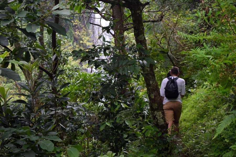 Materuni Waterfalls, Chemka Hot Springs, &/Or Coffee Tour - Price and Value: Is $70 a Good Deal?