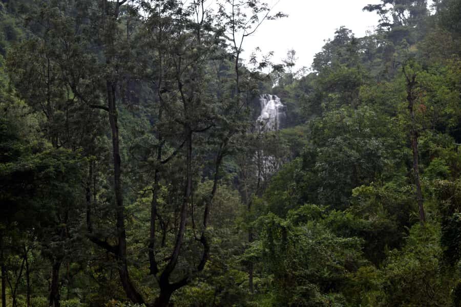 Materuni Waterfalls, Chemka Hot Springs, &/Or Coffee Tour - Who This Tour Fits Best