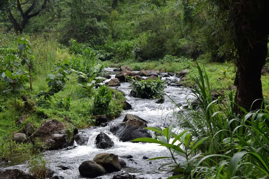 Materuni Waterfalls, Chemka Hot Springs, &/Or Coffee Tour - Final Thoughts: Should You Book This Materuni and Chemka Day?