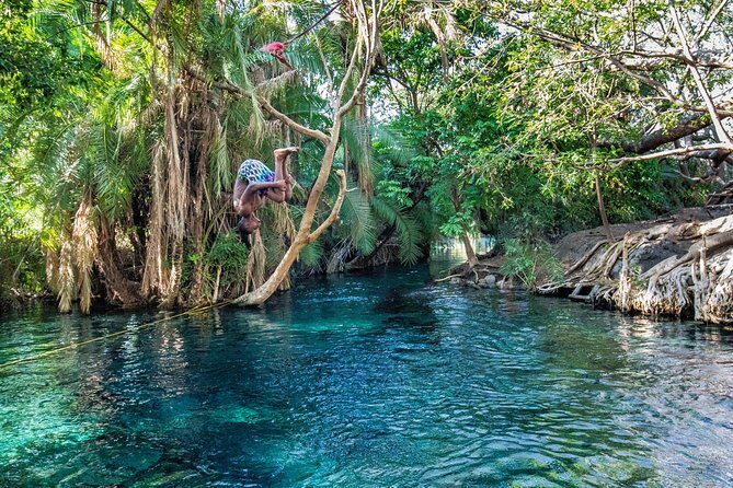 MATERUNI waterfalls, coffe tour & kikuletwa hotsprings - Quick hits (what makes this day work)