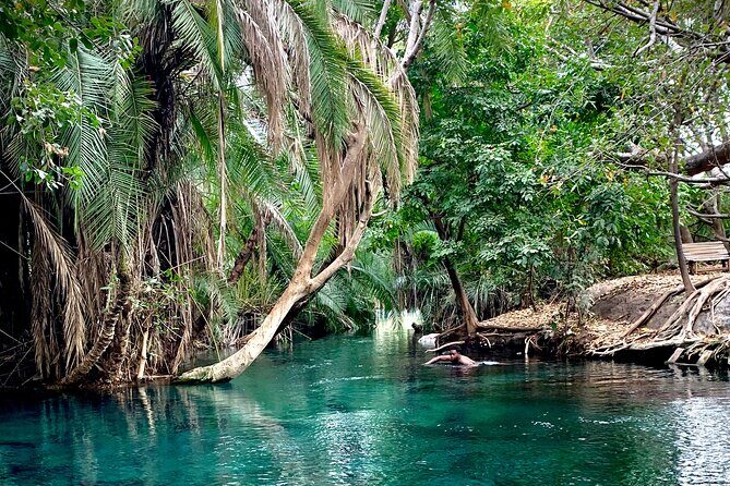 MATERUNI waterfalls, coffe tour & kikuletwa hotsprings - Hitting Materuni and Kikuletwa with a 7:30 am private rhythm