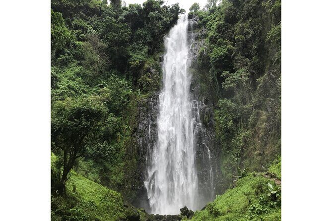 MATERUNI waterfalls, coffe tour & kikuletwa hotsprings - Kikuletwa Hot Springs: warm water plus garra rufa fish pedicure