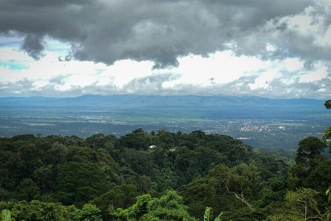 MATERUNI waterfalls, coffe tour & kikuletwa hotsprings - Admission tickets included: what that saves you on