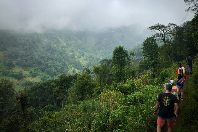 MATERUNI waterfalls, coffe tour & kikuletwa hotsprings - Is $150 worth it for 3 sights and private guiding?