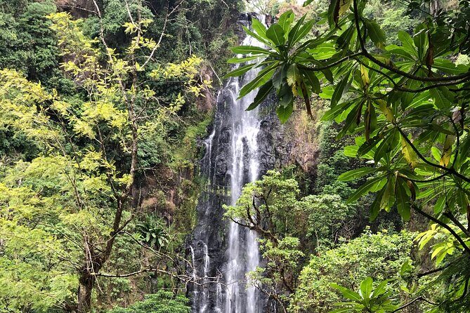 Materuni waterfalls coffee tour & Chemka hot springs Day trip - Timing reality: why 6–9 hours can become a full day