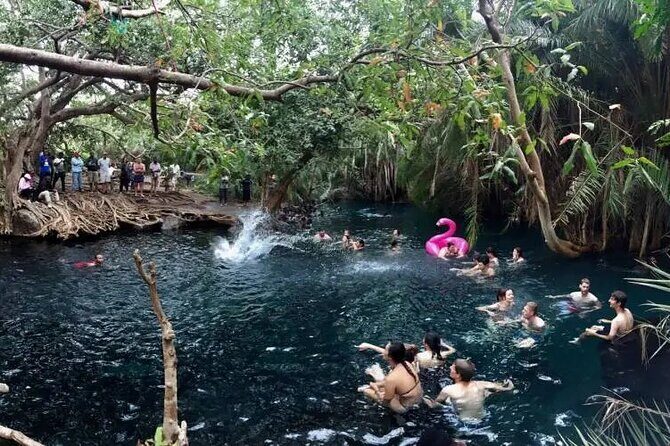 Materuni waterfalls coffee tour & Chemka hot springs Day trip - Transportation and group feel: private tour, pickup, and mobile ticket