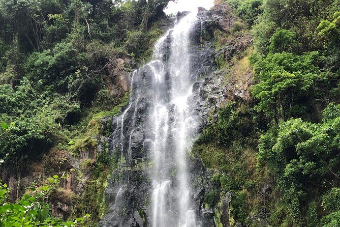 Materuni waterfalls coffee tour & Chemka hot springs Day trip - Who should book this Materuni and Chemka day trip