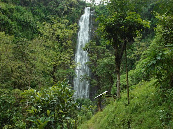 Materuni Waterfalls & Coffee Tour from Moshi - From Moshi pickup to Materuni village: how the day starts