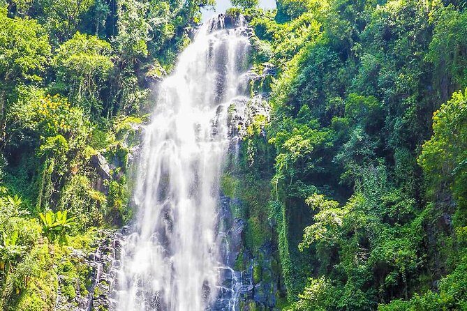 Materuni Waterfalls & Coffee Tour from Moshi - Learning Chagga culture without turning it into a lecture
