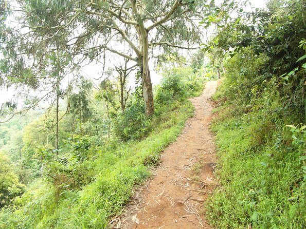 Materuni Waterfalls & Coffee Tour from Moshi - Lunch, pacing, and how long you’ll be out