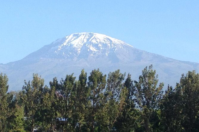 Materuni Waterfalls & Coffee Tour from Moshi - Price and value: is $60 from Moshi a fair deal?