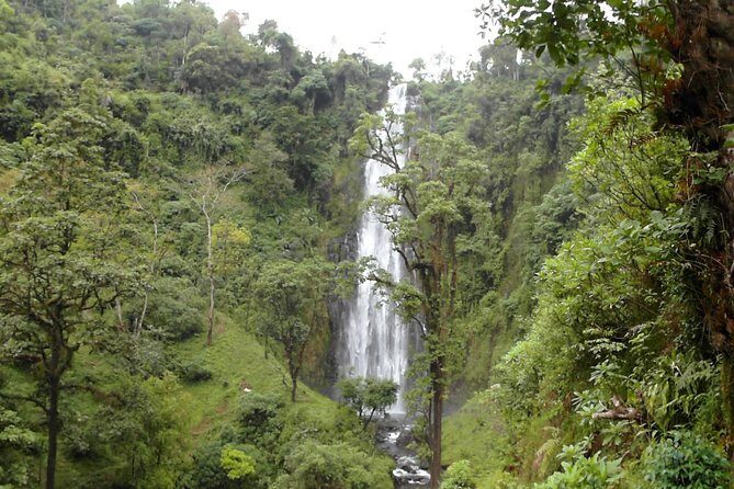 Materuni Waterfalls & Coffee Tour from Moshi - Who this tour fits best (and who should think twice)