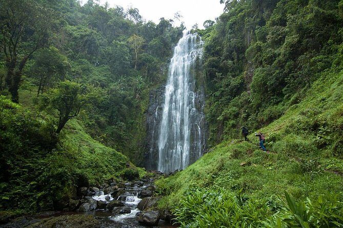 Materuni Waterfalls, coffee tour & Kikuletwa Hot Springs - Key takeaways before you go
