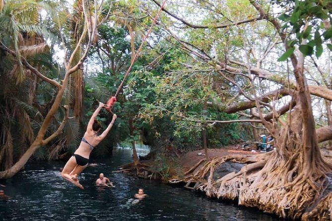 Materuni Waterfalls, coffee tour & Kikuletwa Hot Springs - Price and value check: $100 for three real experiences