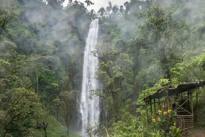 Materuni Waterfalls, coffee tour & Kikuletwa Hot Springs - What to pack and what to expect on the trail and at the springs