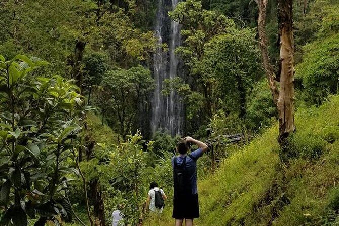 Materuni Waterfalls, Visiting Chagga Village, CoffeeTour Kikuletwa Hotsprings - Coffee tour in action: grinding and processing you actually do
