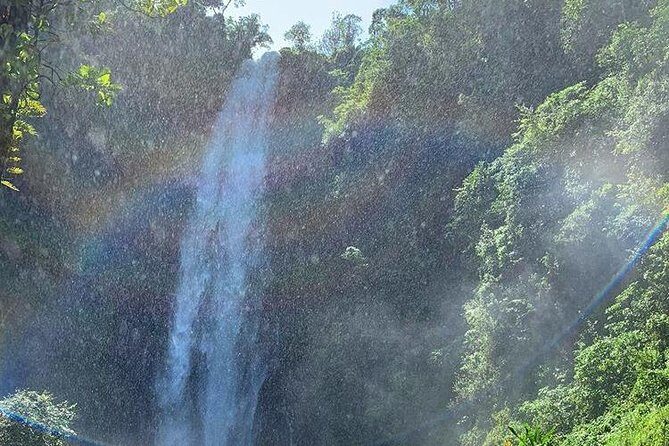 Materuni Waterfalls, Visiting Chagga Village, CoffeeTour Kikuletwa Hotsprings - Price and included value: what $100 covers (and what it doesn’t)