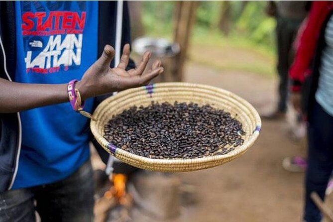 Materuni Waterfalls, Visiting Chagga Village, CoffeeTour Kikuletwa Hotsprings - Pickup, start time, and how a 12-hour day really plays