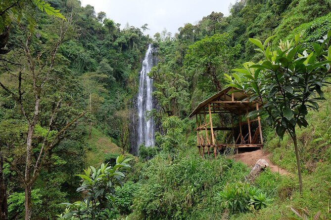 Materuni waterfalls,coffee tour & Kikuletwa(Chemka)Hot Springs - A One-Day Route That Actually Feels Like a Day