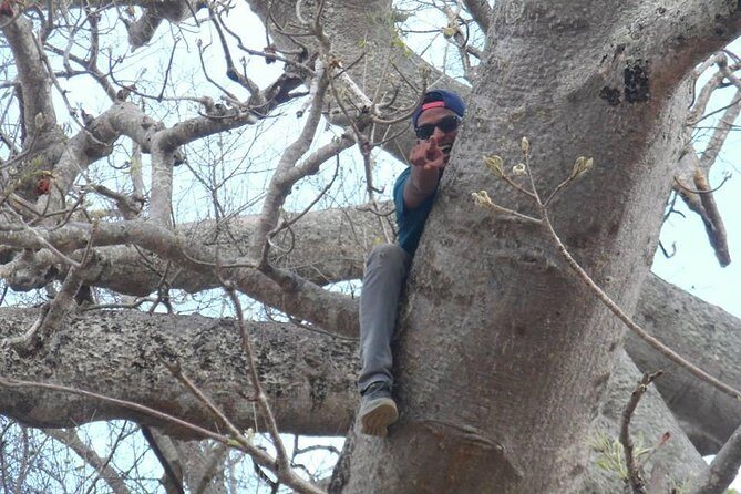 MIKUMI NATIONAL PARK - 3 Days - Meals and Dietary Requests: Comfort That Helps Your Game Drive