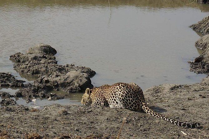 Mikumi National Park in a Day - A Day Tour from Morogoro - Key things that make this Mikumi day tour work
