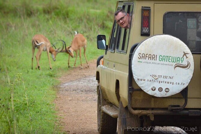 Mikumi Safari Tour: Day Trip Return Flight From Zanzibar - Timing and weather: the one-day safari risk you can’t ignore