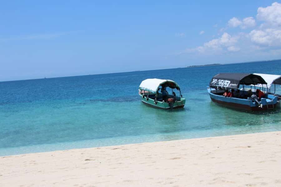 Mnemba dolphin & snorkel: from matemwe, pwani, kwingwa, Uroa - What you’ll really experience on the boat
