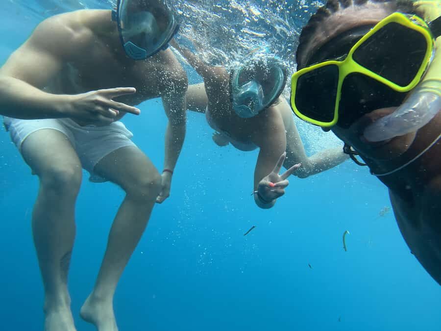Mnemba dolphin & snorkel: from matemwe, pwani, kwingwa, Uroa - Dolphin time in open water: how the crew increases your odds