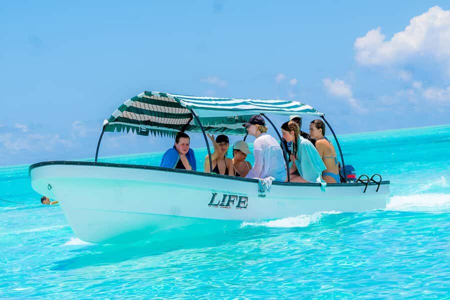Mnemba Island: Dolphin Swim & Snorkeling with Optional Lunch - Who this tour is best for (and who should think twice)