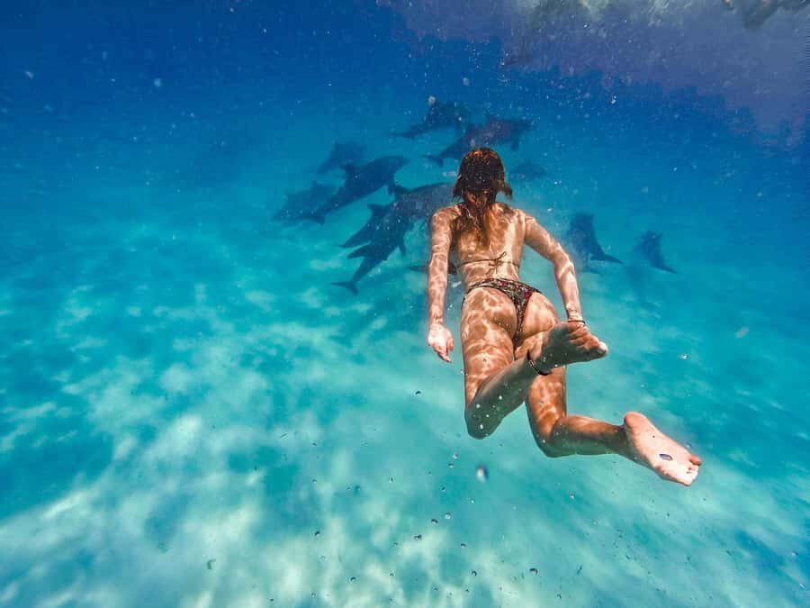 Mnemba Island: Dolphin Swim & Snorkeling with Optional Lunch - Dolphin swim: what you can expect, and what to watch for