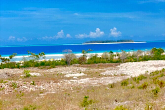 Mnemba island snorkeling tour - Mnemba Island Snorkeling: The Reef Trip You Can Keep Simple
