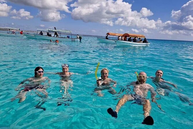 Mnemba island snorkeling tour - Price and Value: What $100 Buys You in Real Terms