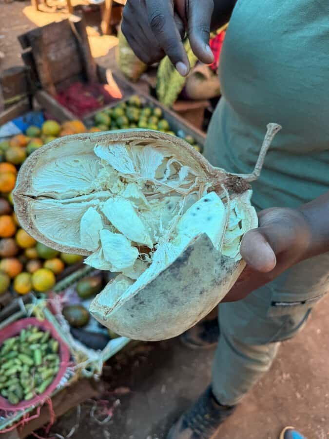 Moshi: Town tour and Local Markets tour - Manyema Market: Food Market Energy and Fruit Tasting First