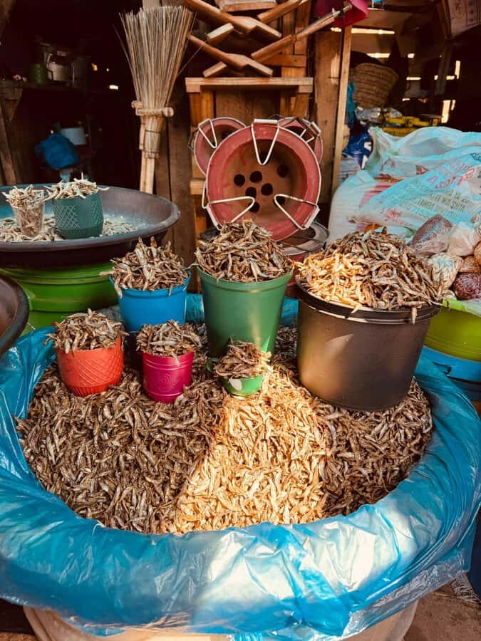 Moshi: Town tour and Local Markets tour - Mbuyuni Market: Bananas, Fish, Spices, Clothing, and a Local Dispensary