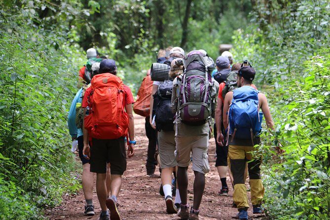 Mount Kilimanjaro Day Hike - Arusha Hotel Pickup at 7:00 and the Marangu Gate Start
