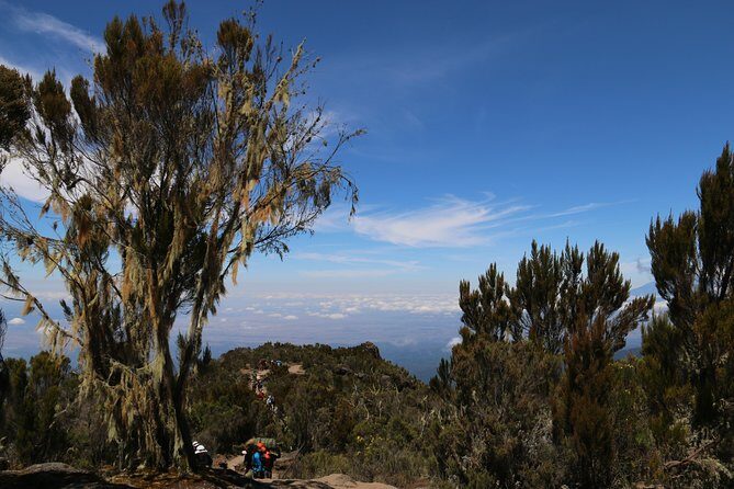 Mount Kilimanjaro Day Hike - What to Pack for a Rainforest-to-Hut Day