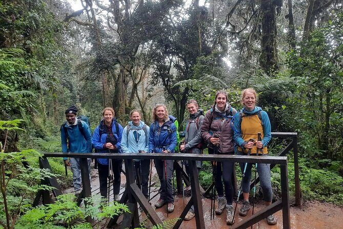 Mount Kilimanjaro Day Hike Through Marangu Route to Mandara Hut - Marangu Route day hike: the Kilimanjaro “starter dose”