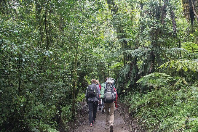 Mount Kilimanjaro Day Hike Through Marangu Route to Mandara Hut - Why the guides matter more than the photos