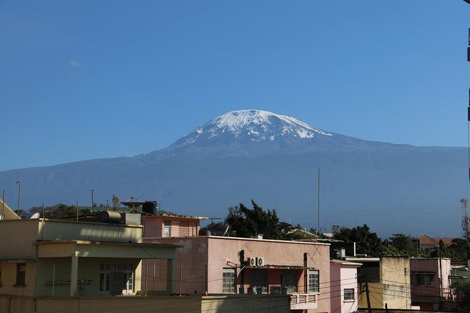 Mount Kilimanjaro Day Hike - Descent Back to Marangu Gate: 2.5 Hours of Controlled Finish