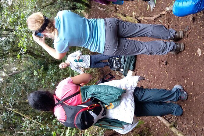 Mountain Kilimanjaro Day Hike - From Arusha or Moshi to Marangu Gate: The Part People Forget